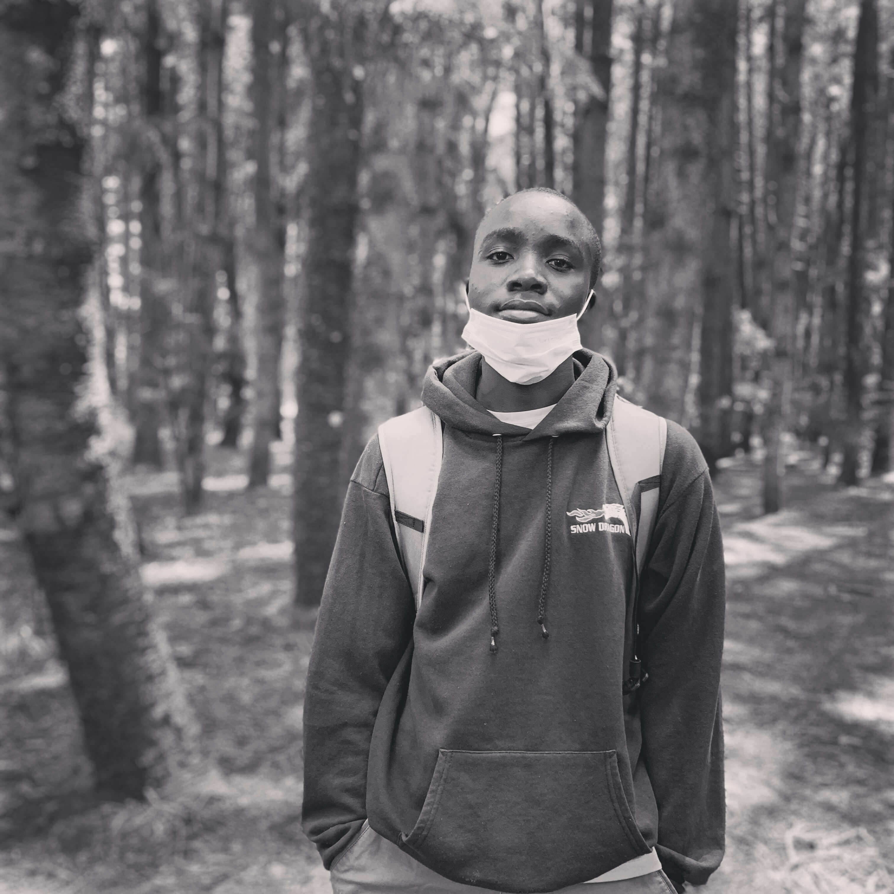 David Nogrene - Professional Frontend Developer Portrait